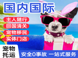 吕梁航空托运国际宠物托运 【国